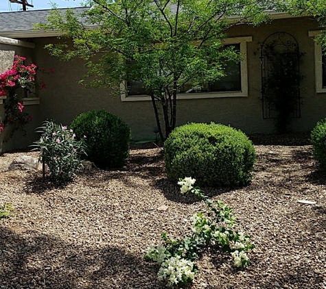 Luis Landscaping, LLC - Glendale, AZ