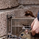 Ed Edelmayer Termite & Pest - Pest Control Equipment & Supplies