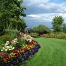 Professional Landscaping Services - Landscaping & Lawn Services