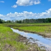 Blackwater National Wildlife gallery