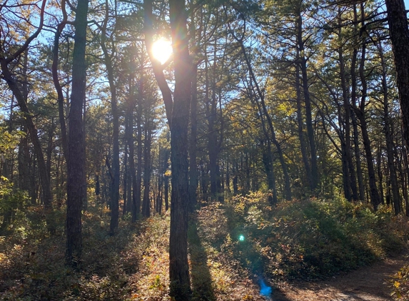 Quogue Wildlife Refuge - Quogue, NY