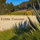 Linne Calodo - Wine Storage