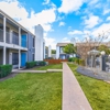 Canvas Apartments gallery