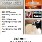 Plumbing Water Leak Repair