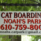 Noah's Park-Exclusive Cat Boarding