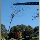 Pollock Bros Tree Serv Inc - Tree Service