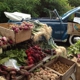 Orleans Farmers Market