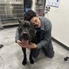 VCA McClave Animal Hospital gallery