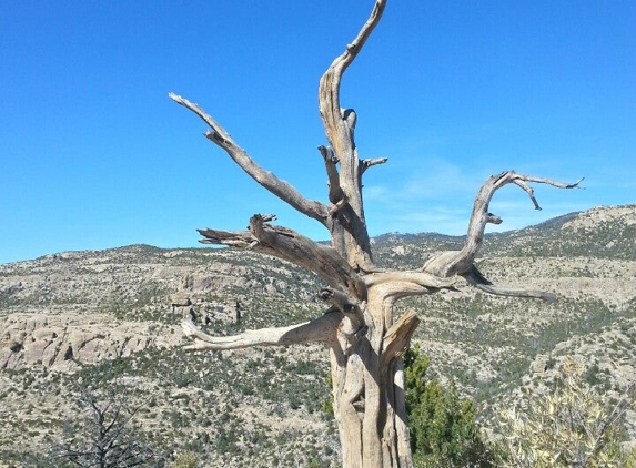 Sawmill Run Restaurant - Mount Lemmon, AZ