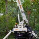 Alpine Tree Experts Inc - Arborists