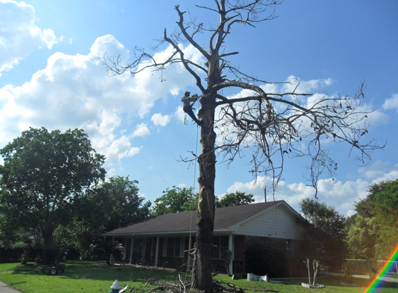 Aldine Tree Services Houston Stump Grinding - Houston, TX. Aldine Tree Services respects your home as if it were our own.  www.aldinetreeservices.com Since 2001