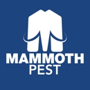 Mammoth Services - Pest Control Services