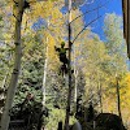 Bear Claw Land Services - Tree Service