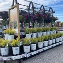 Windridge Perennials & Landscaping - Mulches