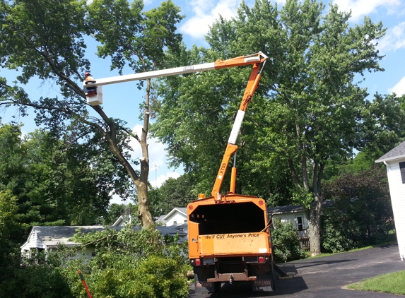 Madsaw Tree Service LLC