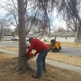 Tree Services of Omaha - Omaha, NE