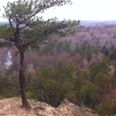 Occoneechee Mountain State Natural Area - Picnic Grounds