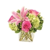 Stephanie's Flowers & Gifts gallery