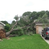 D's Tree Service gallery