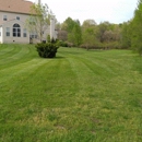 Precise Lawn Care - Lawn Maintenance