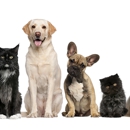 Coquina Ridge Animal Clinic - Veterinarians