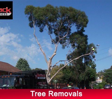 Redback Tree Services. Tree Removals