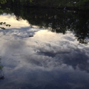 Nashawannuck Pond Steering Committee - Environmental, Conservation & Ecological Organizations