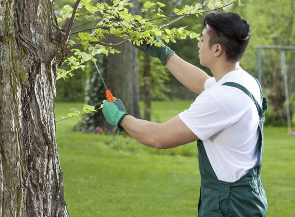 Tony J. Bricker Tree Service