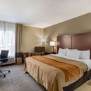 Comfort Inn Walcott near Davenport - Motels