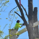 Gray's Outdoor Services