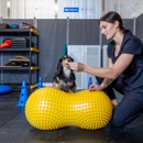 TotalFit Animal Rehabilitation and Sports Medicine - Veterinarians