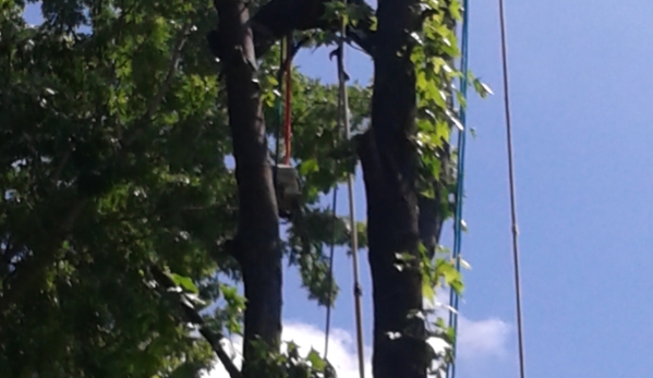 A Team Tree Service - Saint Louis, MO