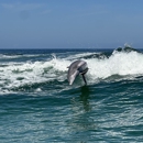 Salty Mary Dolphin and Snorkel Tours