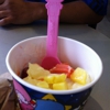 YogurtLand gallery