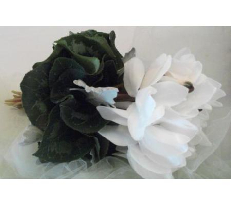 Montflora Florist - Montmorency, VIC