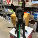 Alpha K9 Connections