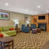 Comfort Inn & Suites North Dallas-Addison gallery