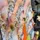 Amami Shima Sushi