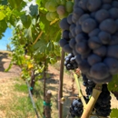 Sonoma Wine Rides - Sightseeing Tours