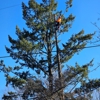 God's Country Tree Service gallery