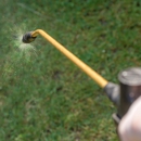 Ninefold Pest