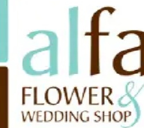 Alfa Flower Shop - Milwaukee, WI