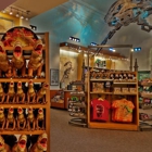 The Dino Institute Shop