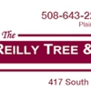 Reilly Tree & Landscape gallery