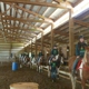 Son Rise Ranch