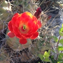 New Mexico Living Desert State Park - Parks