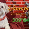 Shampooch Grooming Salon gallery