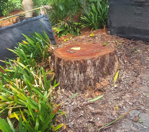 Coastal Stump Worx - Umina Beach, NSW