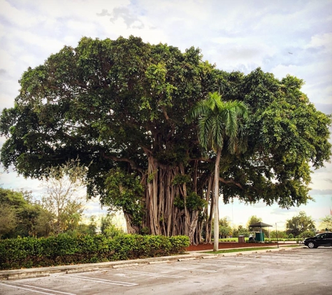 Normandy Shores - Miami Beach, FL