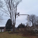 J & J Tree Services - Tree Service